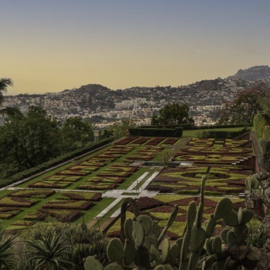 Jardim Botânico(Madeira)©DigitalTravelCouple