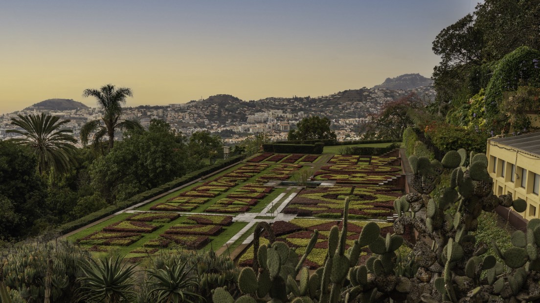 Jardim Botânico(Madeira)©DigitalTravelCouple