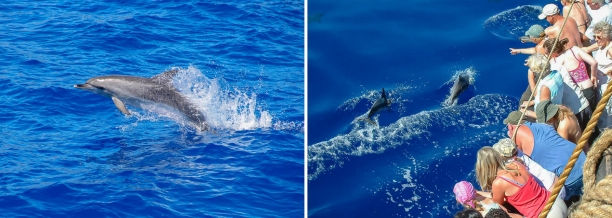 atividades-na-ilha-da-madeira-e-porto-santo-catamaran