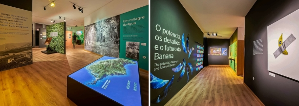 atividades-na-ilha-da-madeira-e-porto-santo-museu-da-banana