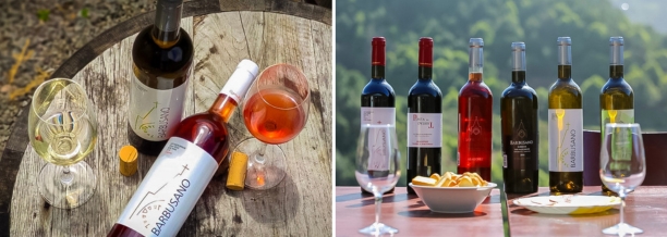 vinhos-de-mesa-da-ilha-da-madeira-barbusano
