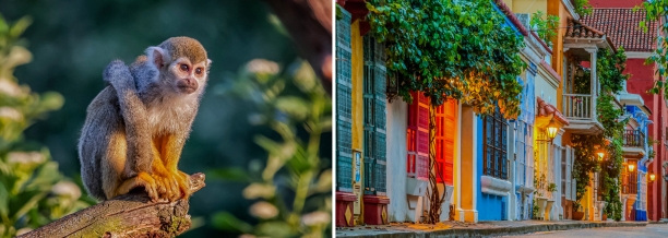 os-melhores-destinos-para-viajar-colombia