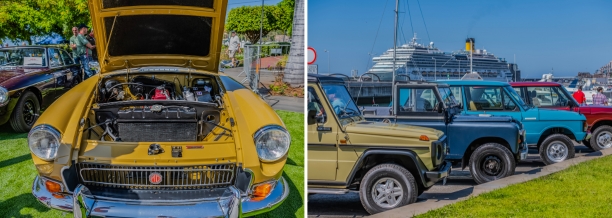 madeira-classic-car-revival-festa-da-flor-automoveis
