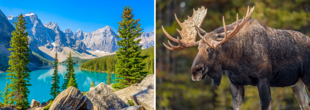 ferias-respire-fundo-destinos-natureza-canada