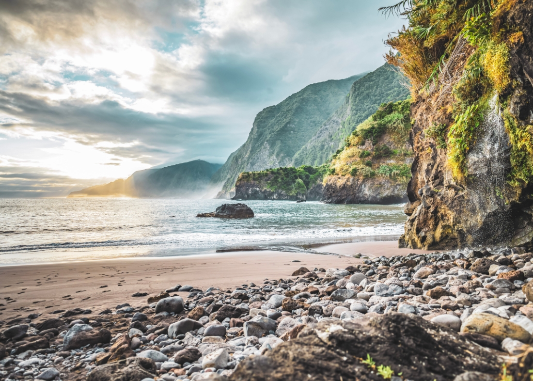 madeira-verao-the-editory-garden-carmo-funchal
