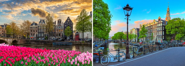 voos-diretos-do-funchal-amsterdao-paises-baixos-holanda